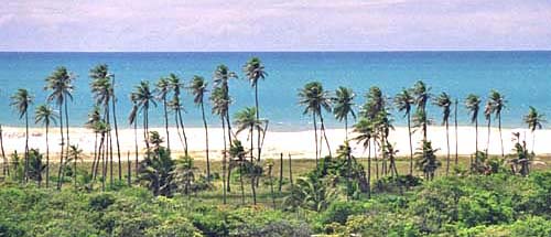 View from the main road Porto das Dunas Ceara Brazil